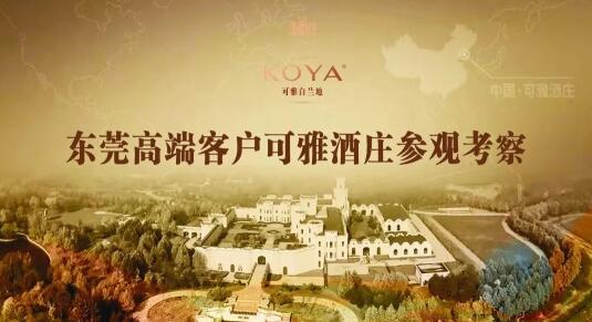 ߶I(lng) ӆ||ݸM(fi)I(lng)XXOͰӆƒƃxʽ¡e